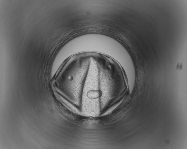 X0000114530217200911091118