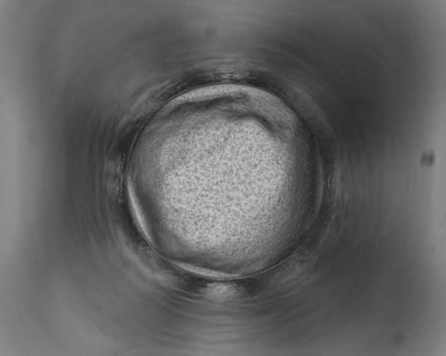 X0000114530218200911091118