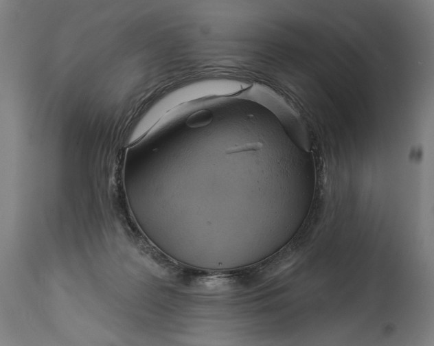 X0000114530219200911091118