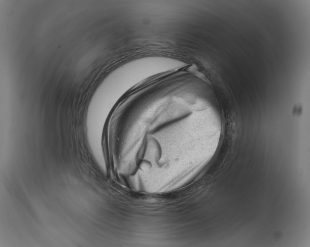 X0000114530221200911091118