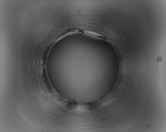 X0000114530223200911091118
