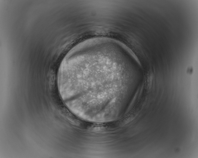X0000114530228200911091117