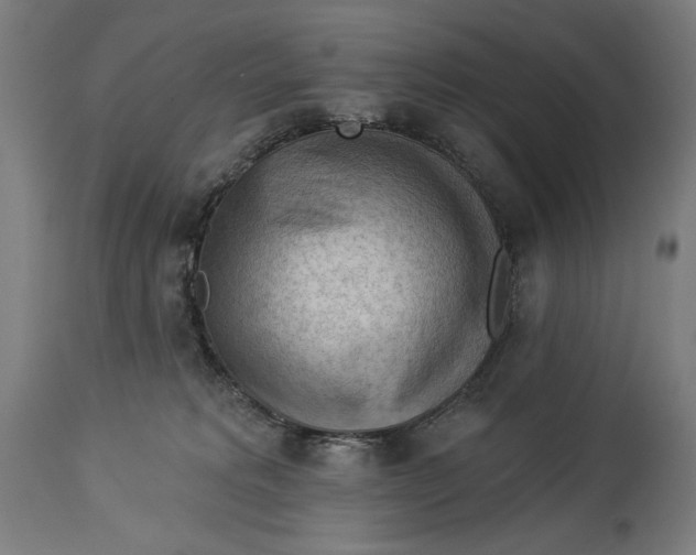 X0000114530229200911091117