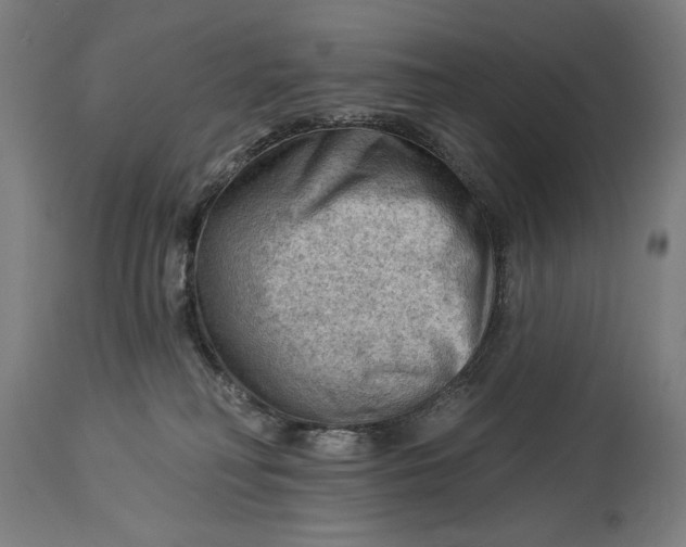 X0000114530230200911091117