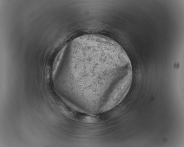 X0000114530232200911091117