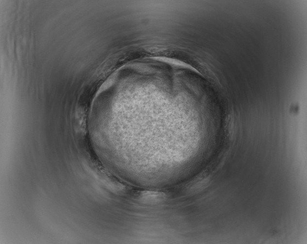 X0000114530234200911091117