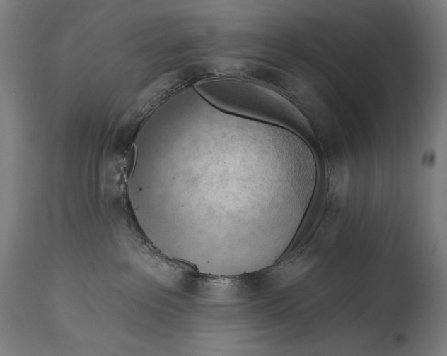 X0000114530237200911091117