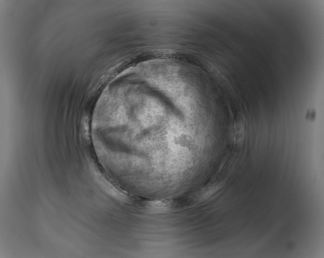 X0000114530238200911091117