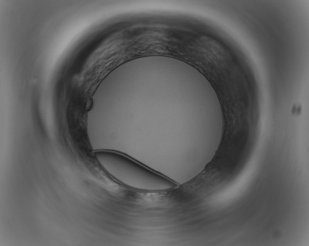 X0000114530239200911091117