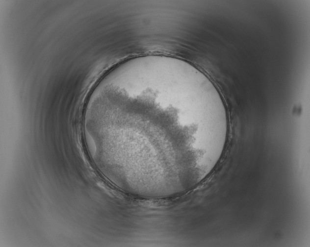 X0000114530241200911091117