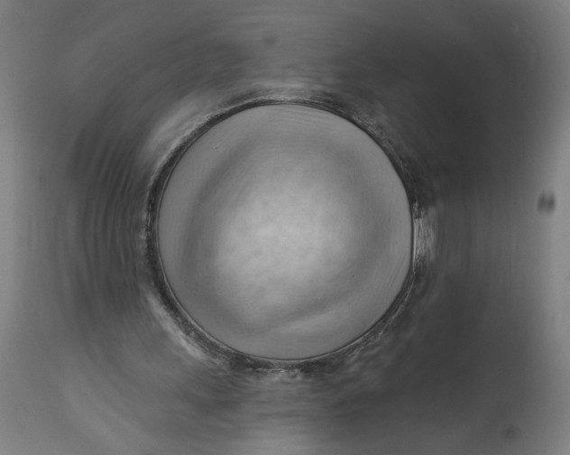X0000114530243200911091117