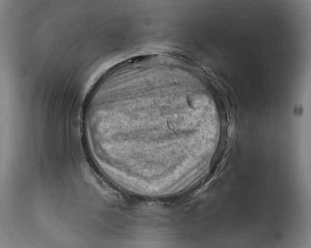 X0000114530244200911091117