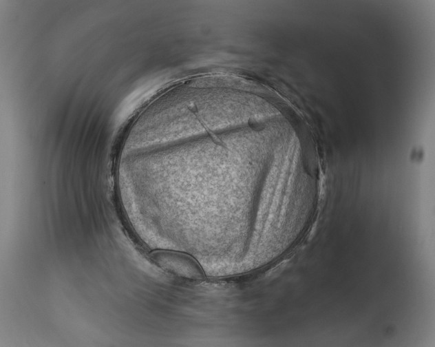 X0000114530245200911091117