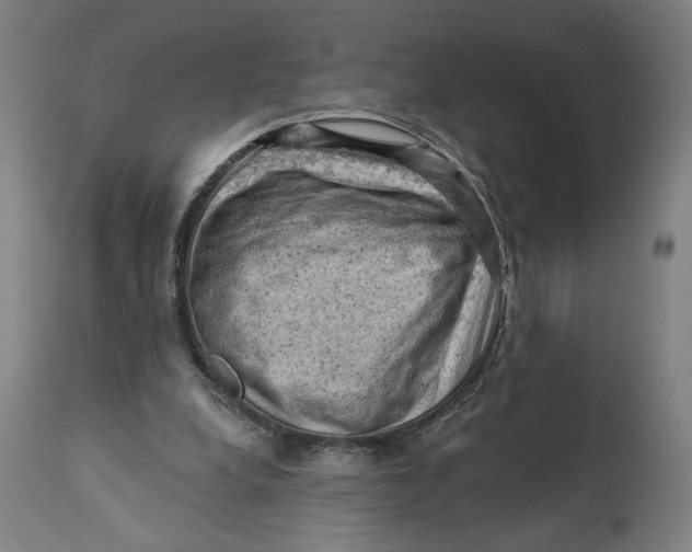 X0000114530248200911091117