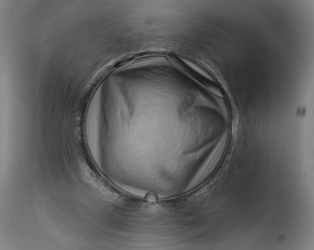 X0000114530249200911091117