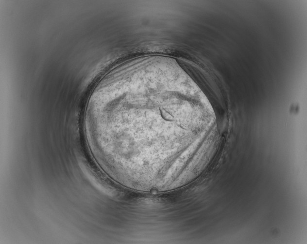 X0000114530250200911091117