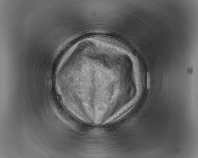 X0000114530252200911091117