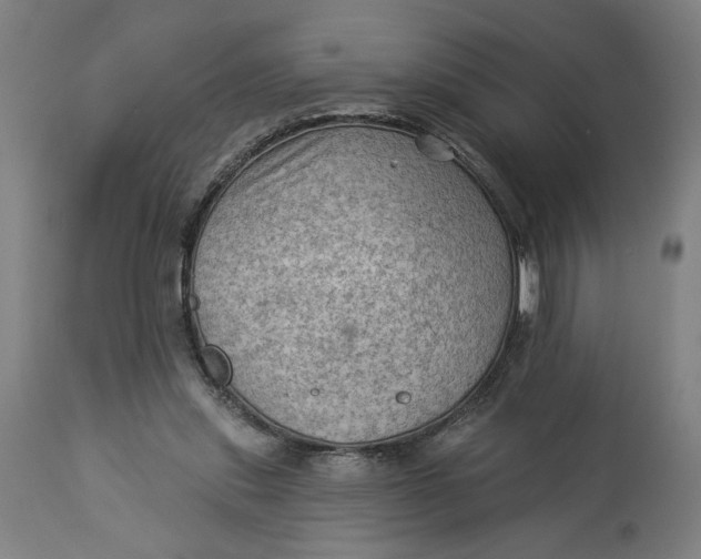 X0000114530253200911091117