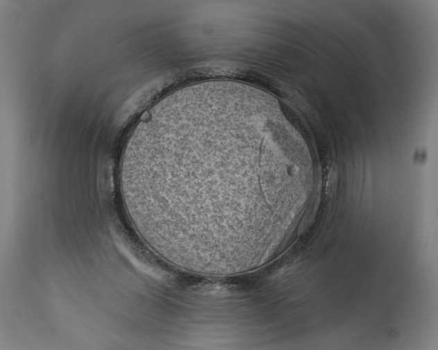 X0000114530254200911091117