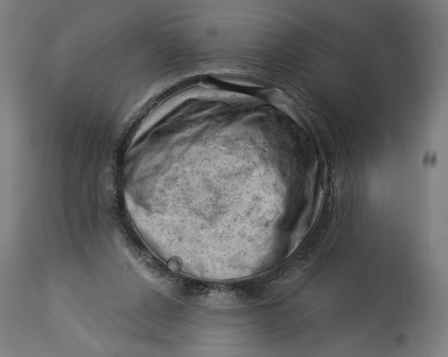 X0000114530256200911091117