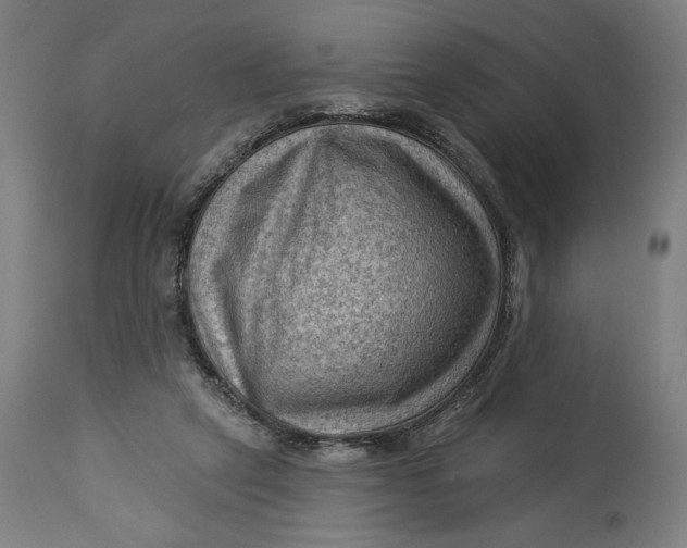 X0000114530257200911091117