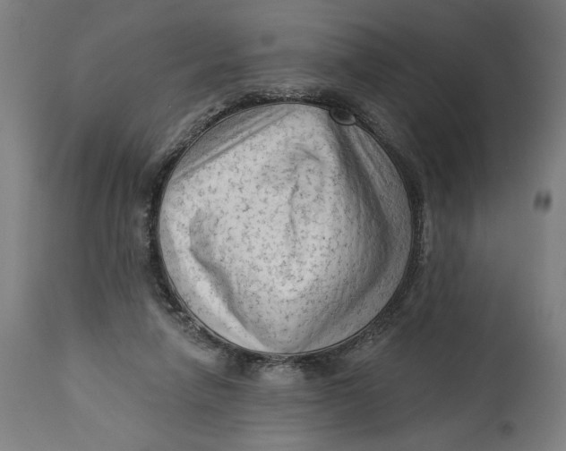 X0000114530258200911091117