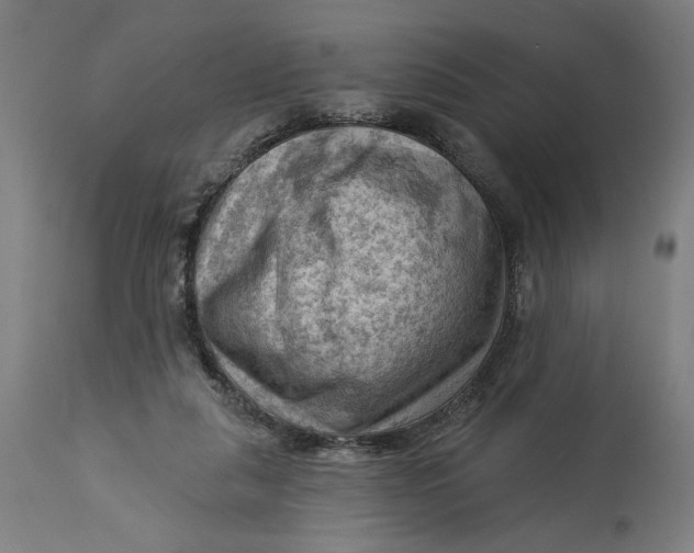 X0000114530259200911091117