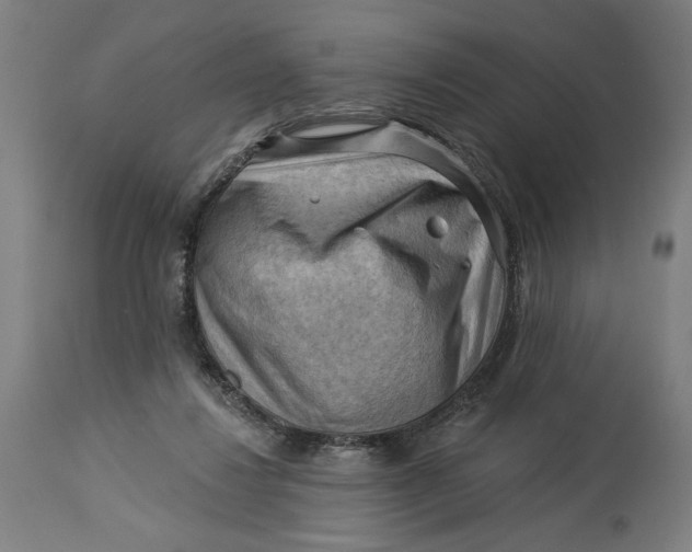 X0000114530260200911091117