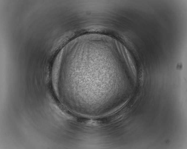 X0000114530261200911091117