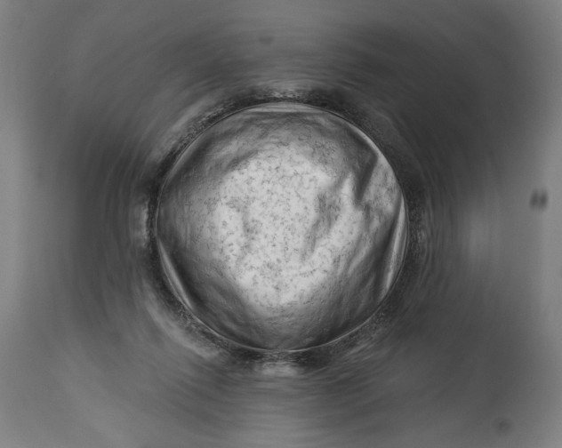 X0000114530262200911091117