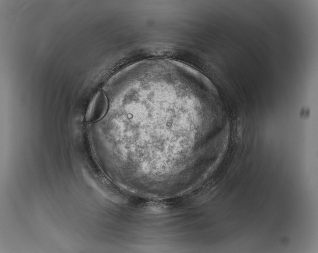 X0000114530263200911091117