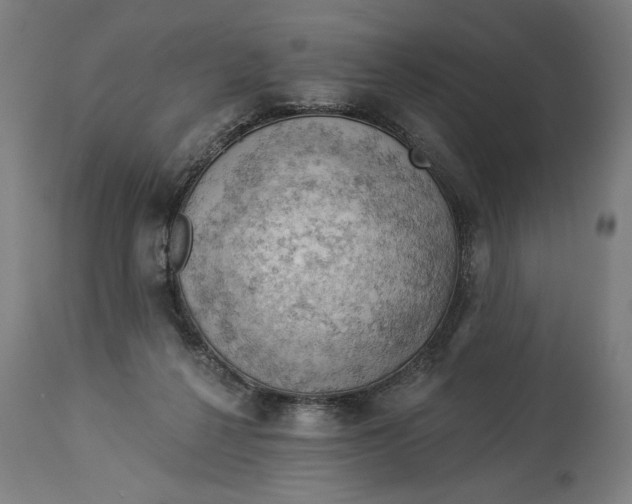 X0000114530264200911091117