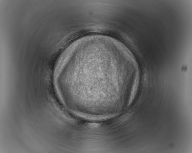 X0000114530265200911091117