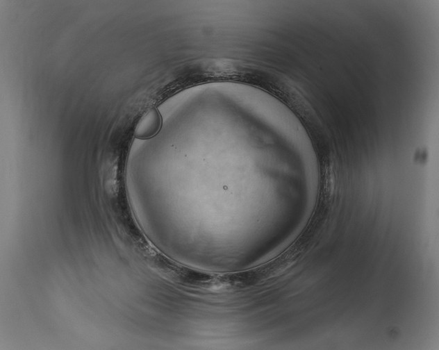 X0000114530267200911091117