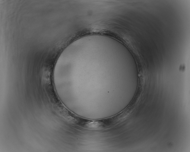 X0000114530269200911091117