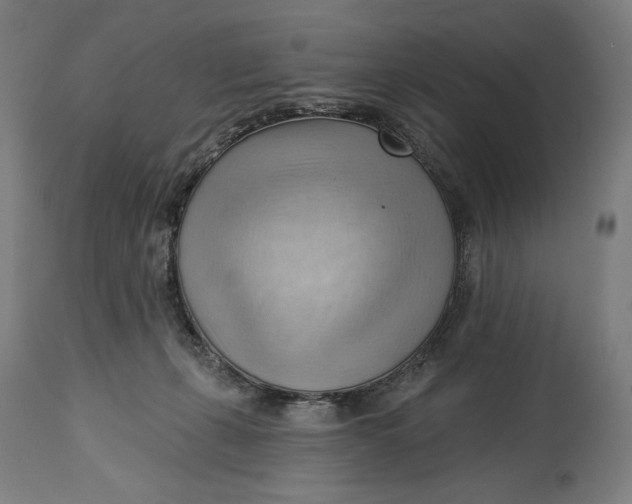 X0000114530271200911091117