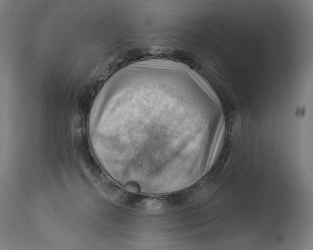 X0000114530272200911091117