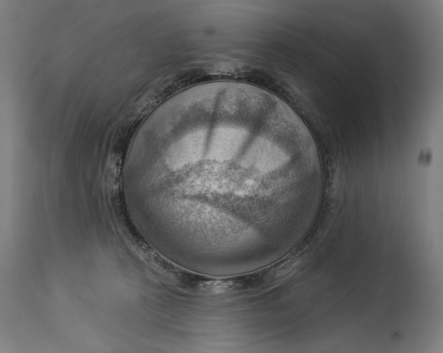 X0000114530273200911091117