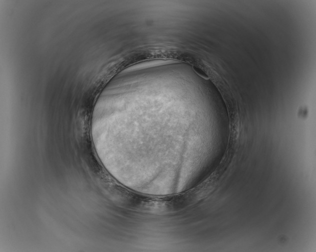 X0000114530276200911091117