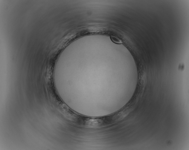X0000114530277200911091117