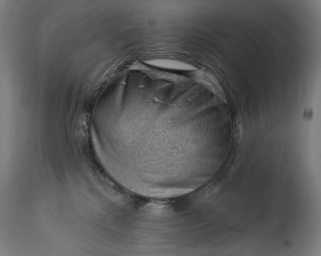 X0000114530280200911091117