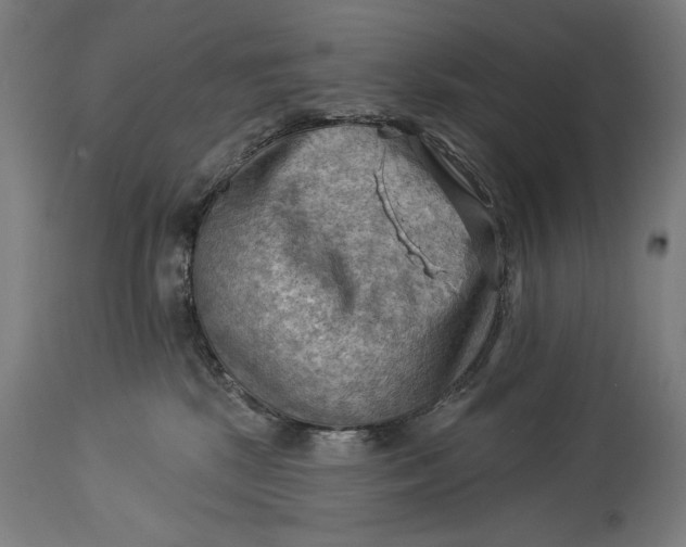 X0000114530281200911091117