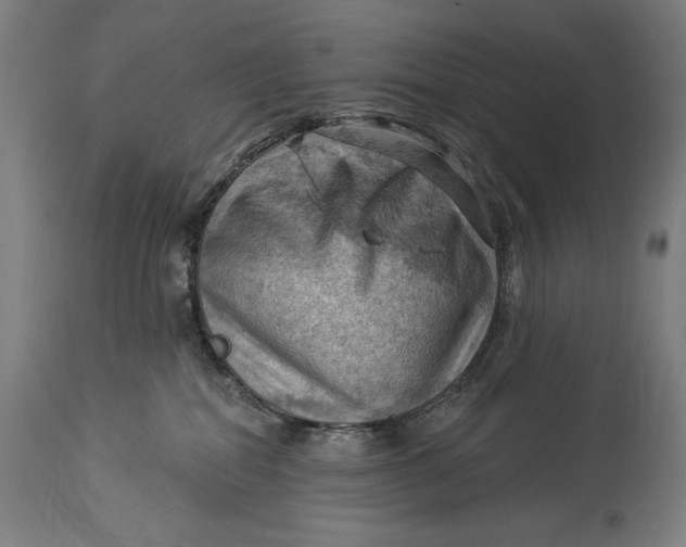 X0000114530282200911091117