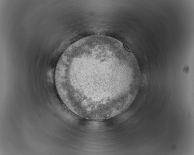 X0000114530286200911091117