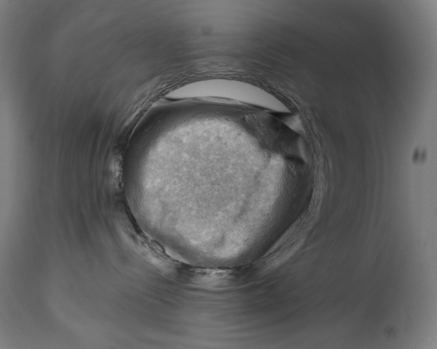 X0000114530288200911091117