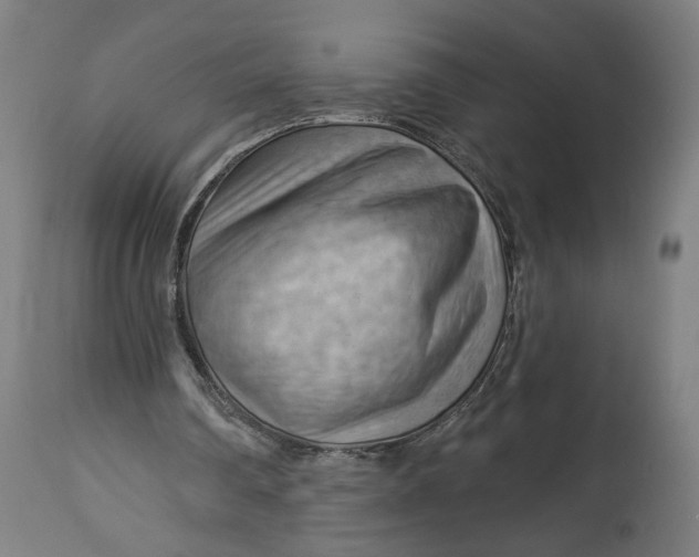 X0000114530290200911091117