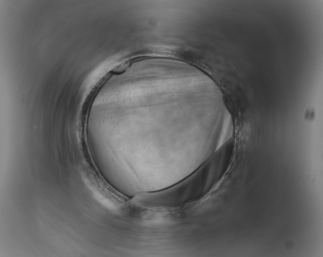 X0000114530294200911091117