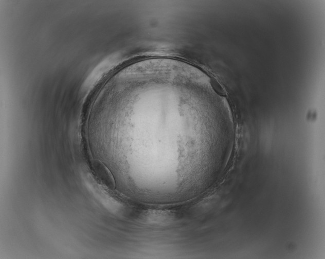 X0000114530296200911091117