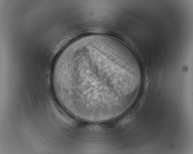 X0000114530299200911091116