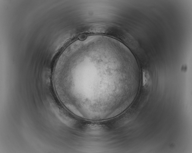 X0000114530300200911091116